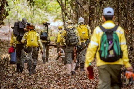 REBIO Nascentes da Serra do Cachimbo/PA. Foto: Bruno Bimbato