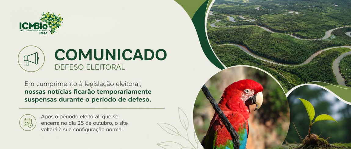 Defeso Eleitoral
