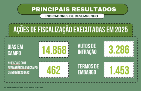 Figura 2. Principais resultados relacionados  a ações de fiscalização em 2025.