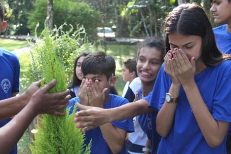 Atividade sensorial no Parque Nacional de Itatiaia