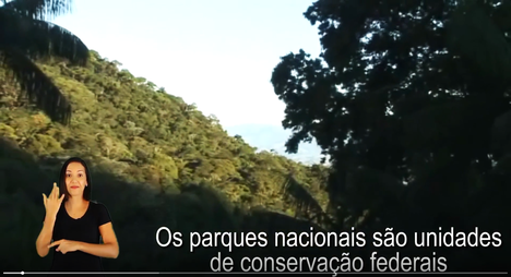 Frame da apresentação traduzida em Libras