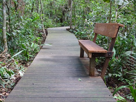 Trilha da Samaúma, trilha para contemplação de 230 metros, Parque Nacional do Viruá