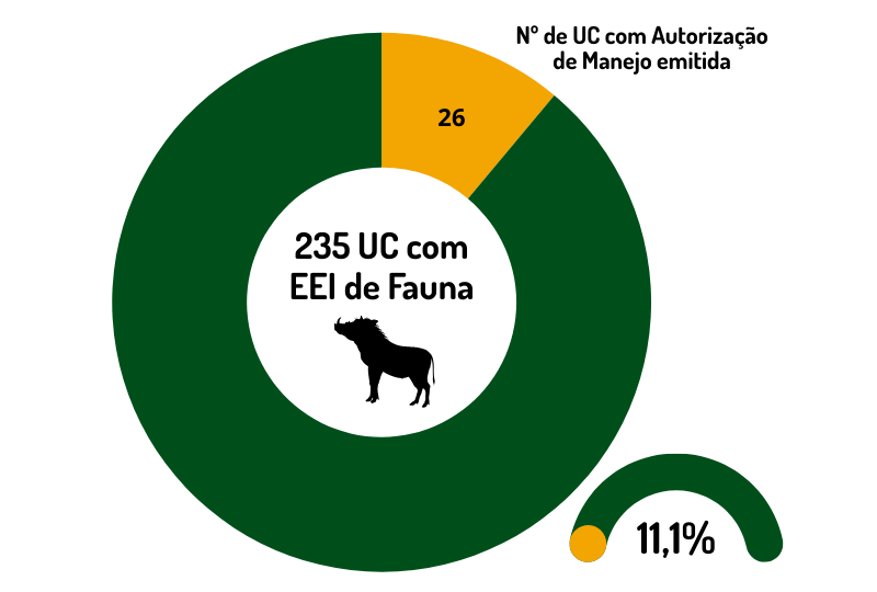 gráfico de rosca demonstrando de 11,1% das UC federais que registraram fauna invasora tem autorização de manejo