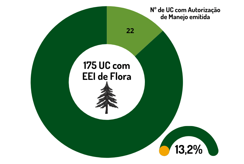 gráfico de rosca demonstrando de 13,2% das UC federais que registraram flora invasora tem autorização de manejo
