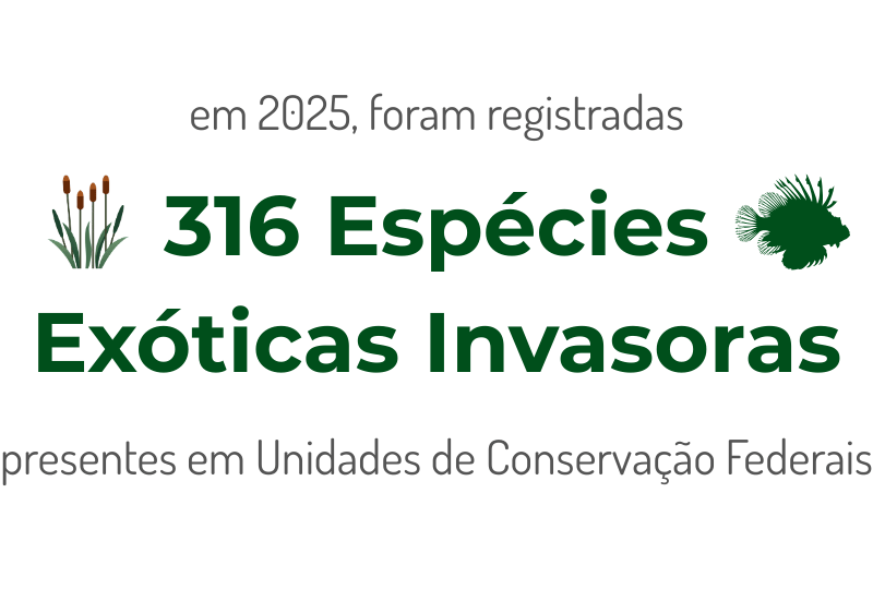 card com a informação de que, até o momento, 316 EEI foram registradas em UC federais