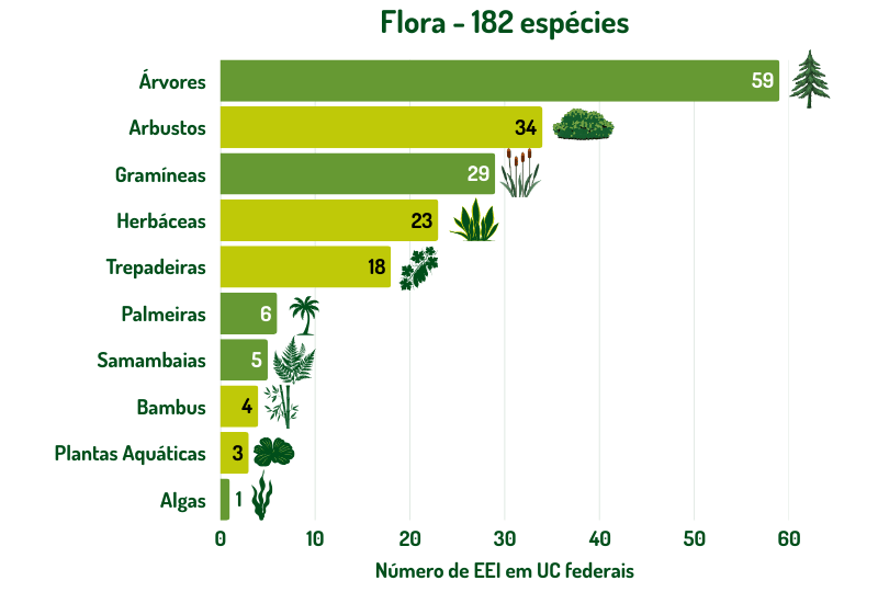 gráfico demonstrando a quantidade de EEI por grupos de flora