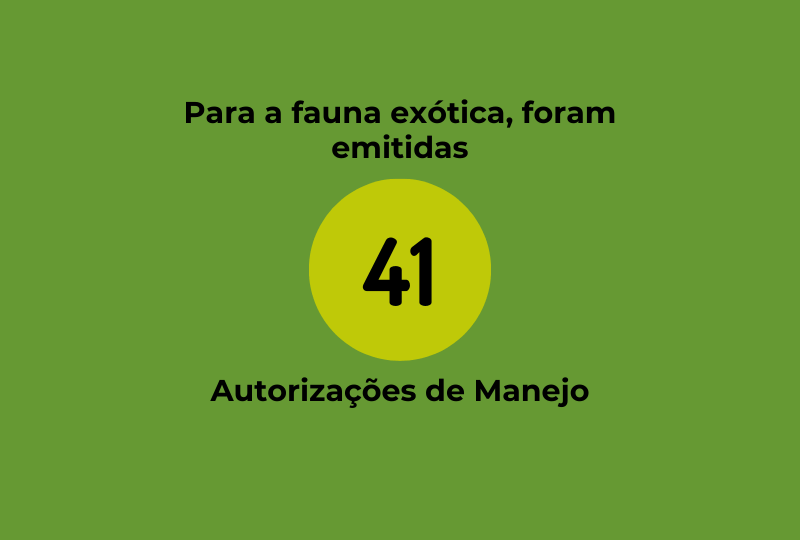 card com a informação de que, até o momento, 41 autorizações de manejo foram emitidas para fauna invasora