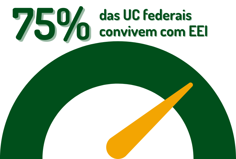 75% das UC federais convivem com EEI