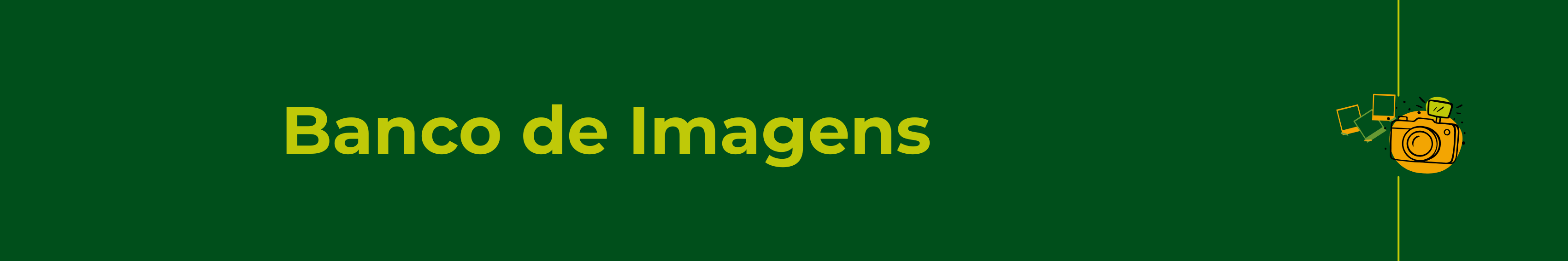 Capa Banco de Imagens
