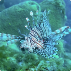 Foto Claudio Sampaio