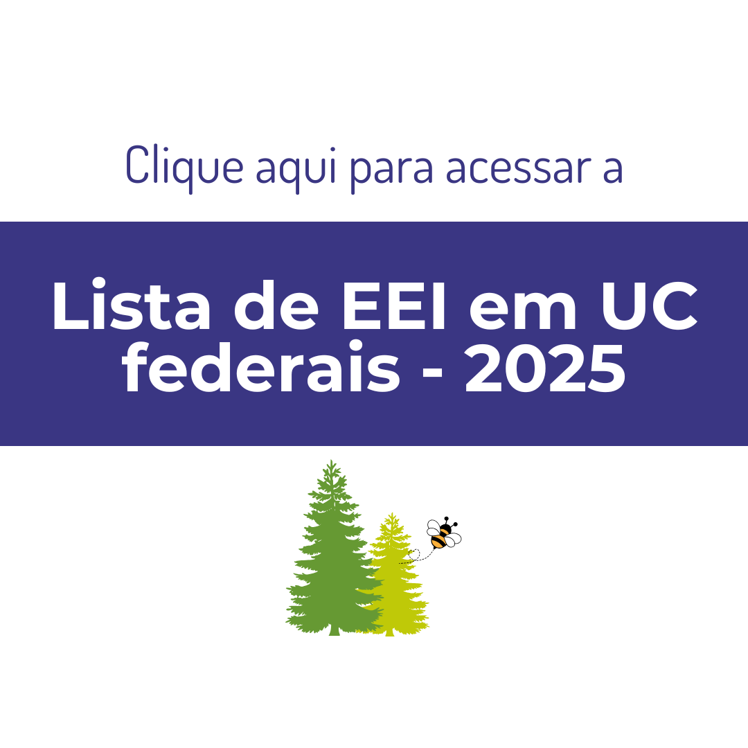 Capa para Ilustrar Lista de EEI