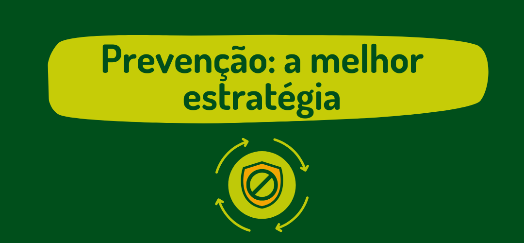 Card direcionando para página "Prevenção: a melhor estratégia"