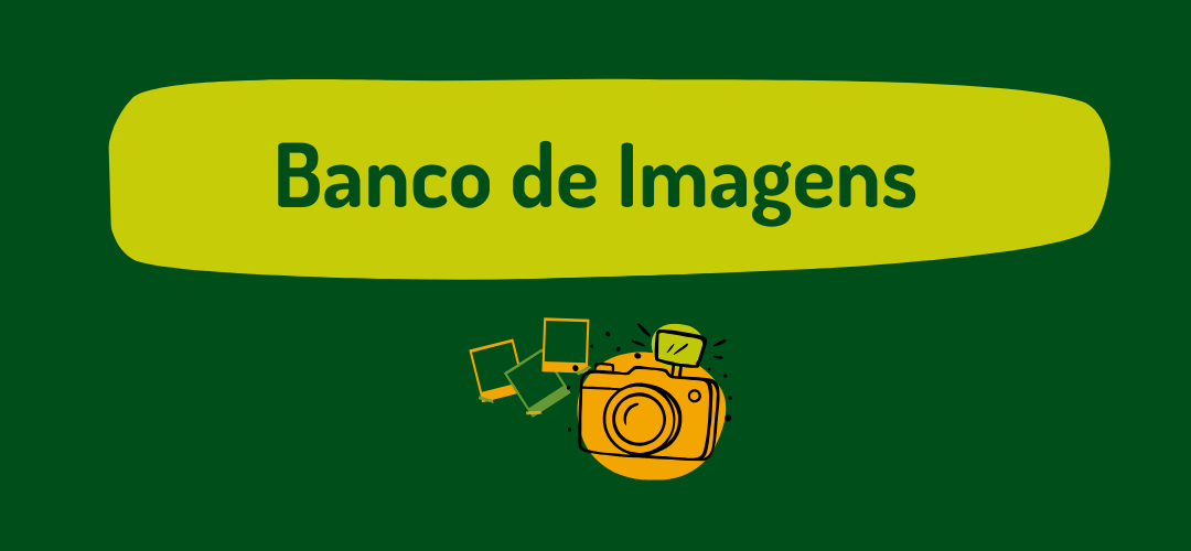 Card direcionando para página "Banco de Imagens"
