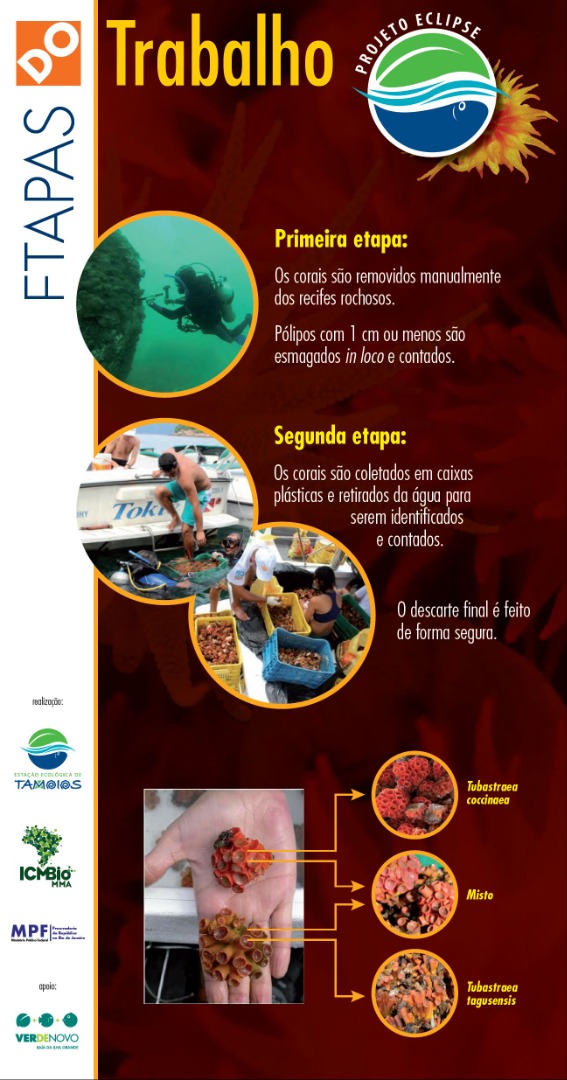 Esec Tamoios - Etapas do trabalho - Projeto Eclipse.jpg