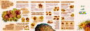 Folder coral-sol ICMBio - Completo - FECHADO - PNG.png