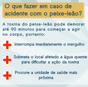 Material para Instagram_Publico mergulhadores e turistas (6).png