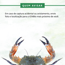 Instagram 06 - SEM CONTATO.png