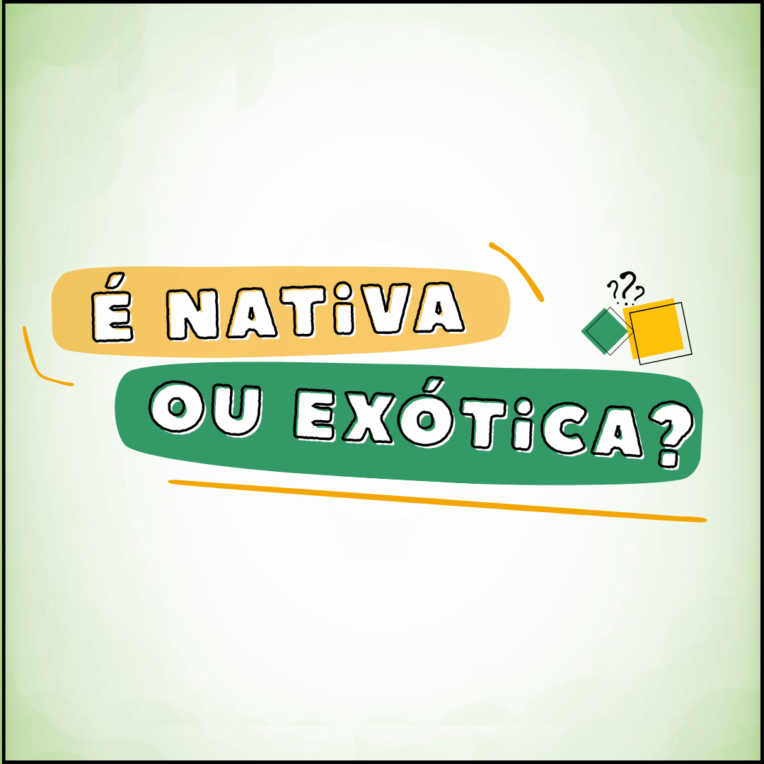 Card indicando jogo "É Nativa ou Exótica?"