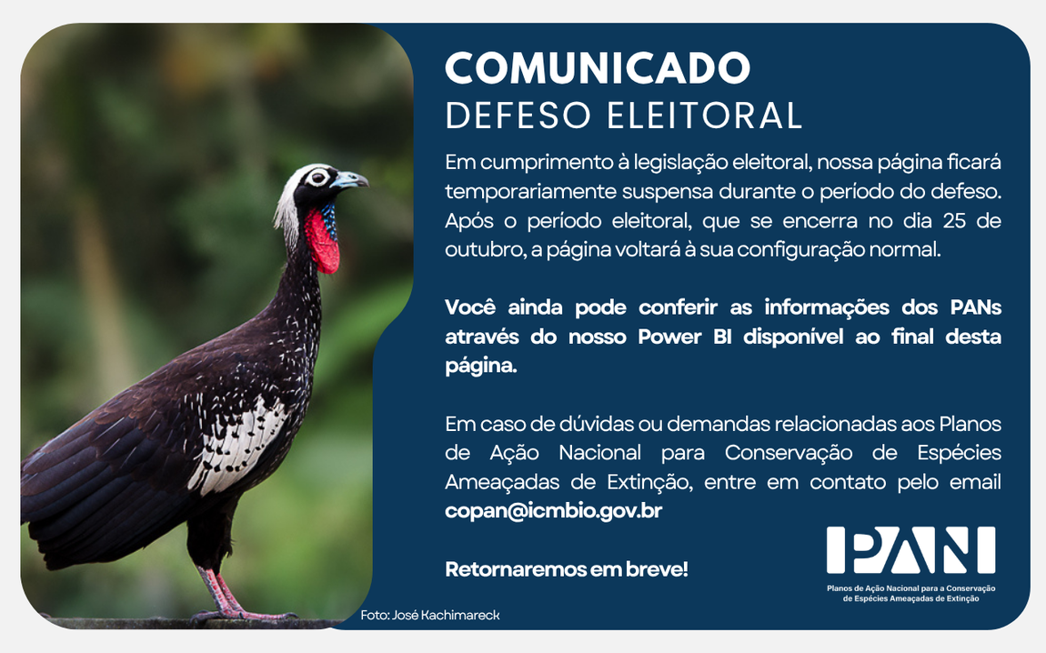 Comunicado defeso eleitoral (2).png