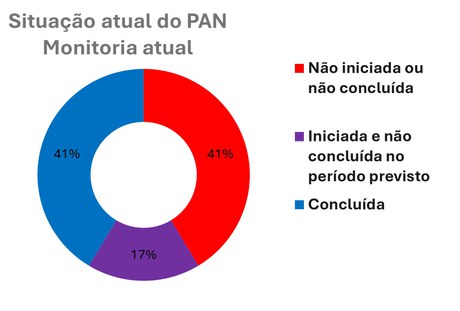 2024-pan-ararinha-azul-painel-final.jpg