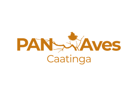 pan-aves-da-caatinga-capa-2.png