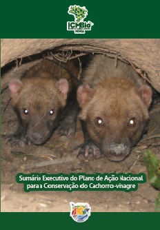 pan-cachorro-vinagre-capa.jpg