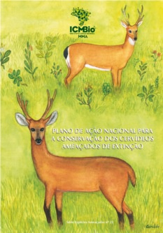 pan-cervideos-capa.jpg