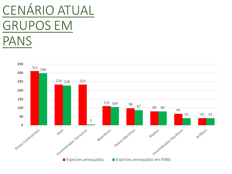 CENÁRIO ATUAL GRUPOS EM PANS