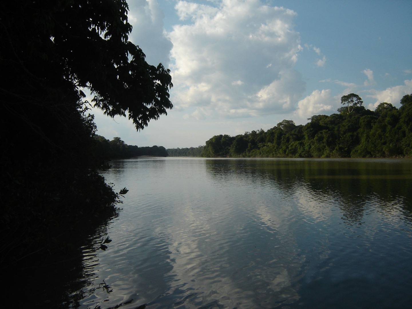 apa_do_tapajos_ipam_instituto_de_pesquisa_ambiental_da_amazônia.jfif