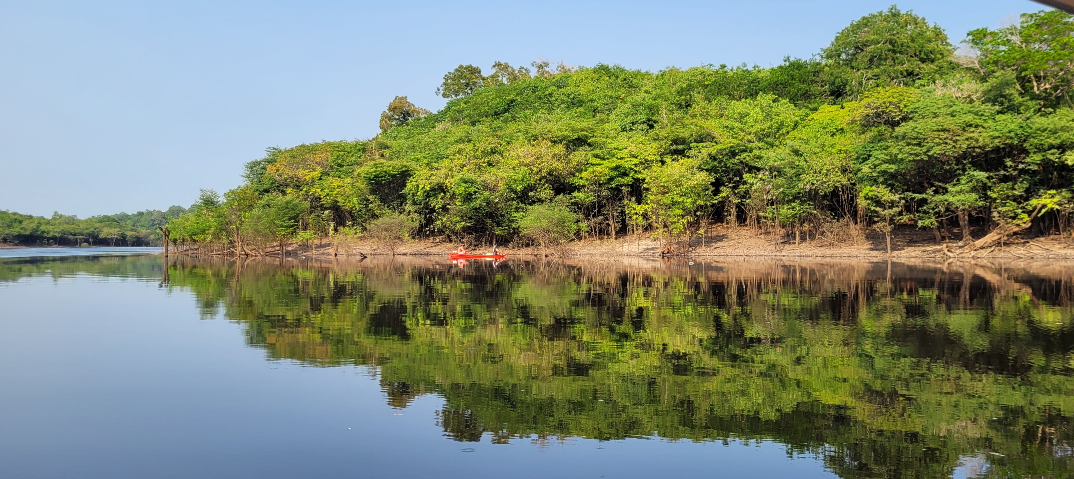 Flona de Pau-Rosa — Instituto Chico Mendes de Conservação da Biodiversidade