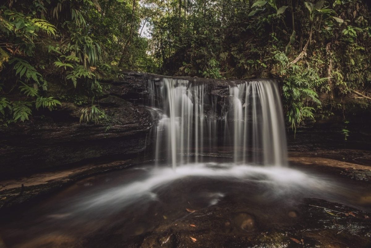 O que é PARNA da Serra do Divisor