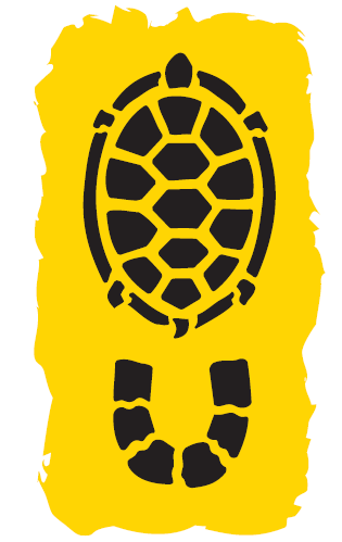 figura_10.png