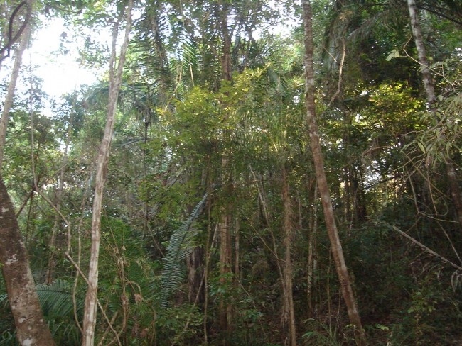 DSC03571-fill-650x488.jfif