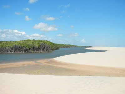 8_Ilha_dos_Poldros_-_Feijão_Bravo.jpg