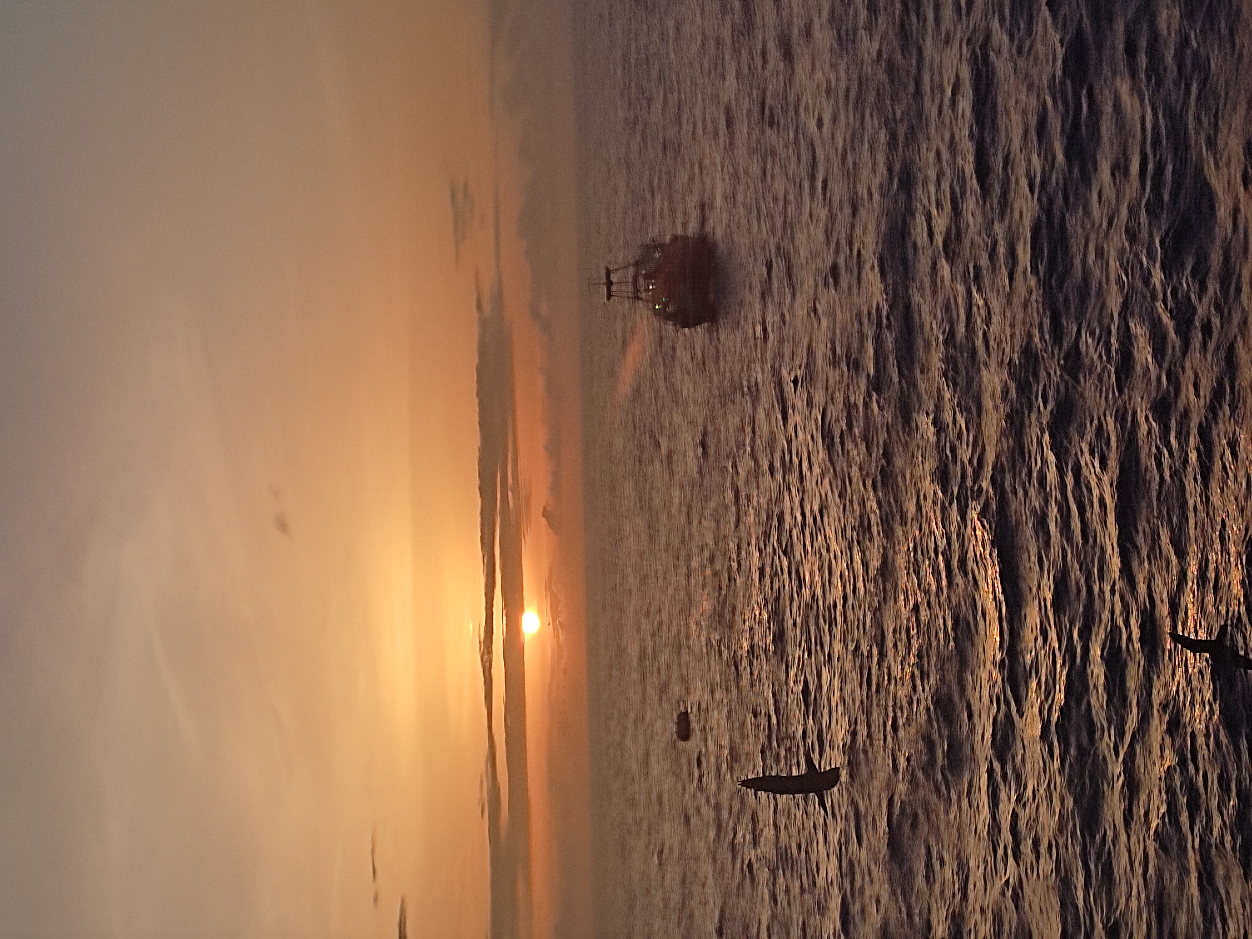 Programa Parceiros do Atlântico