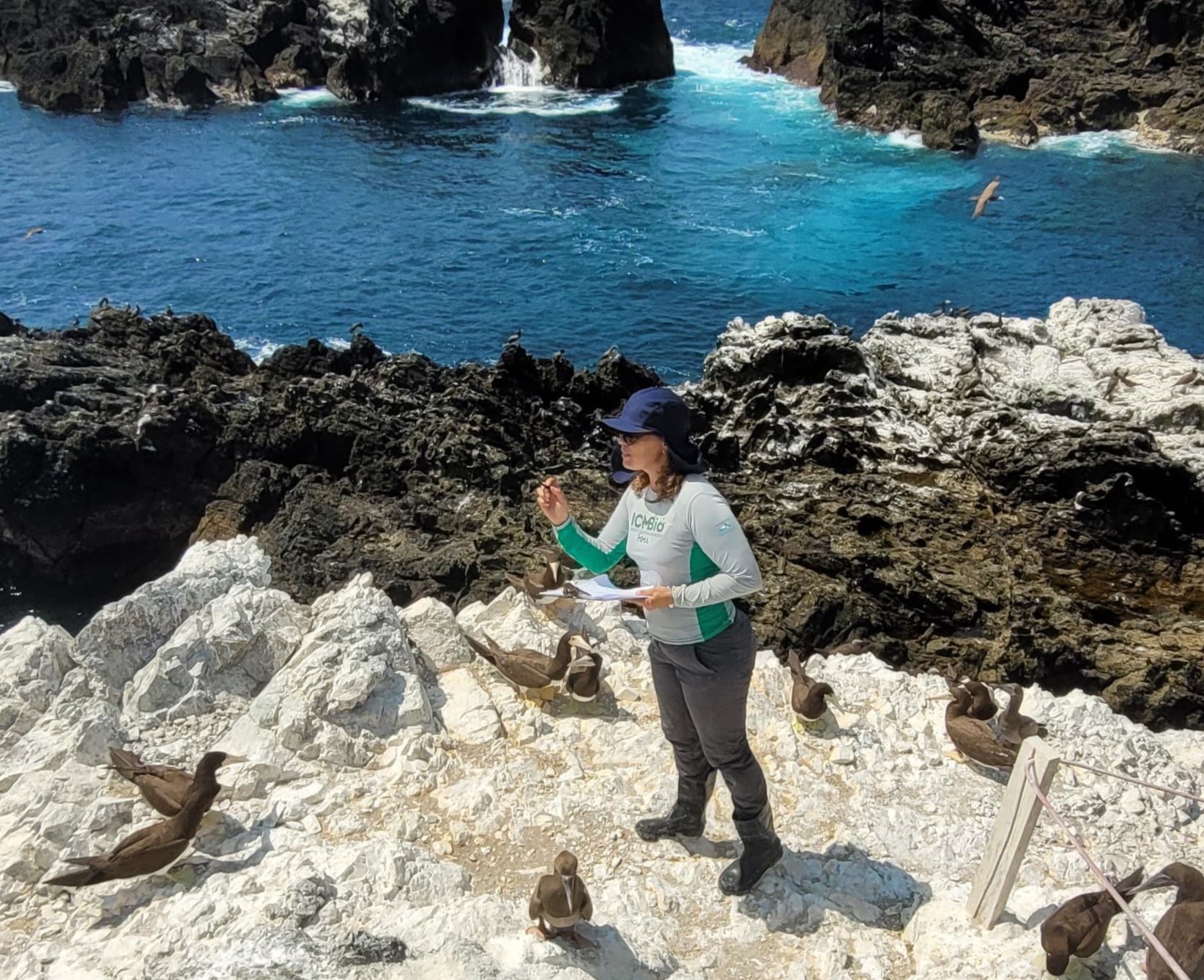 Voluntariado no ICMBio Grandes Unidades Oceânicas