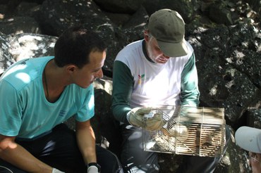 Atividades de campo para combate a roedores no PARNAM de Fernando de Noronha