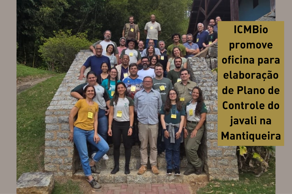 javali, javaporco, plano específico, espécies exóticas invasoras