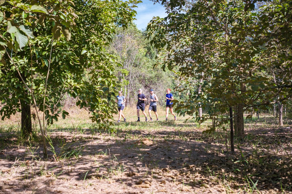 Autoria: Murilo Piaya