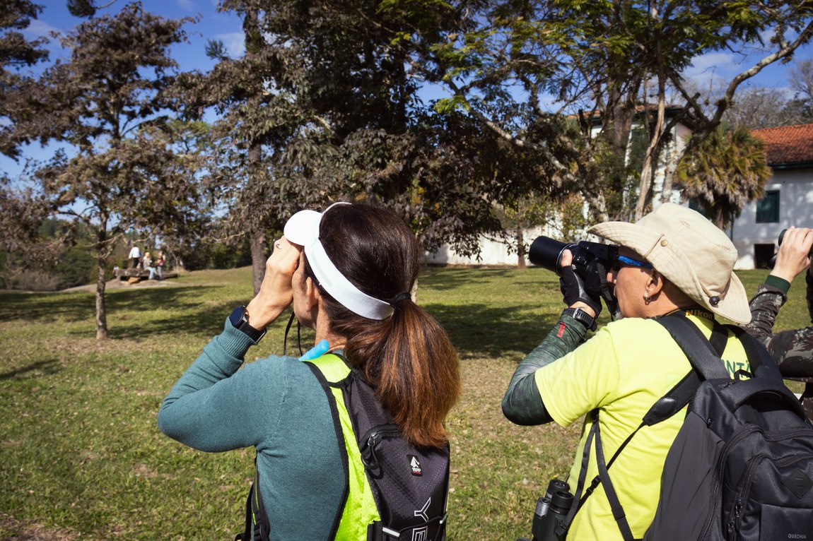 Autoria: Murilo  Piaya