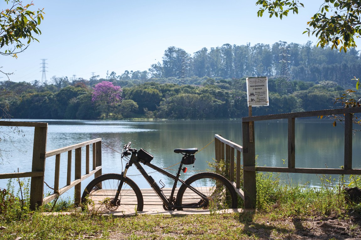 Autoria: Murilo Piaya