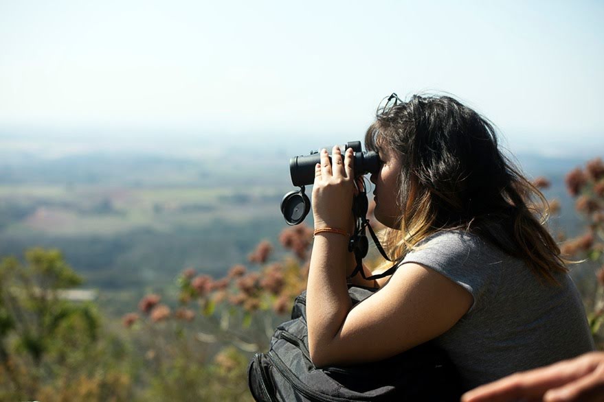 Observação de Aves