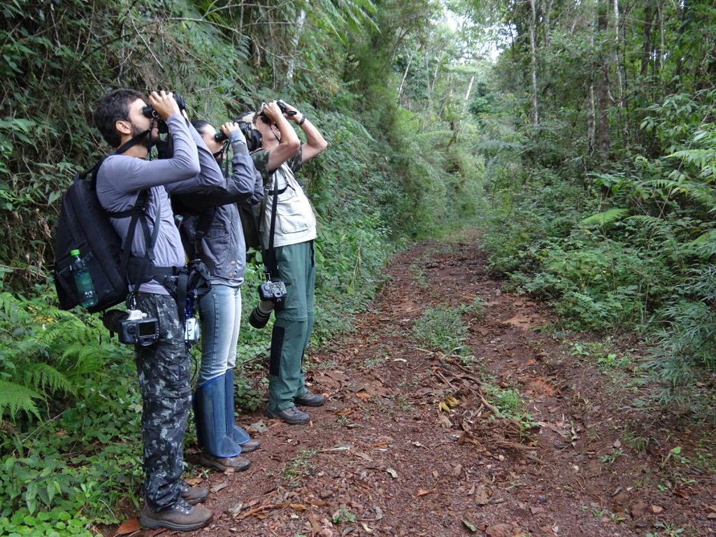 11_observacao_de_aves_adriano_peixoto.jpg