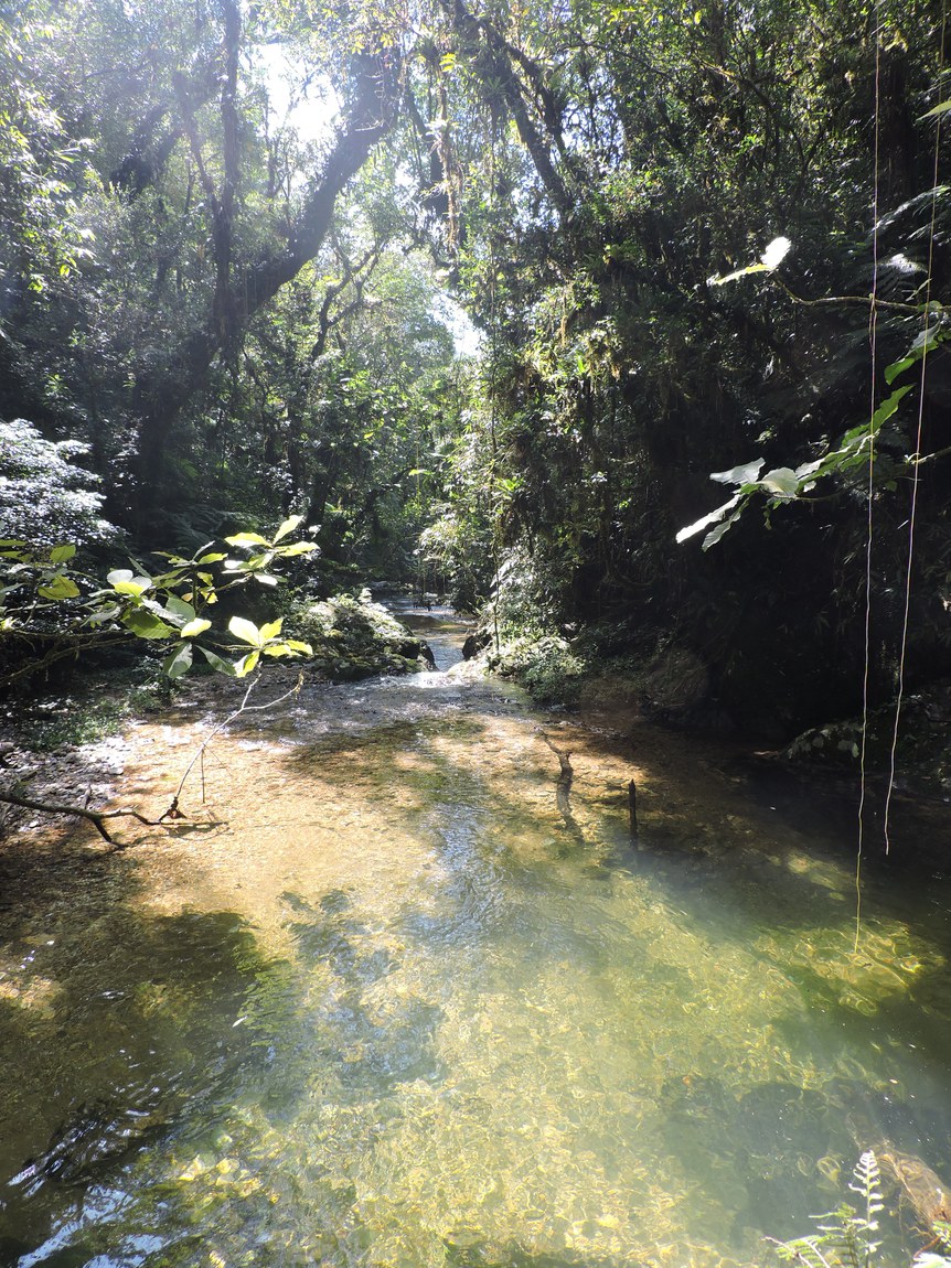 parna_serra_do_itajai.jpg