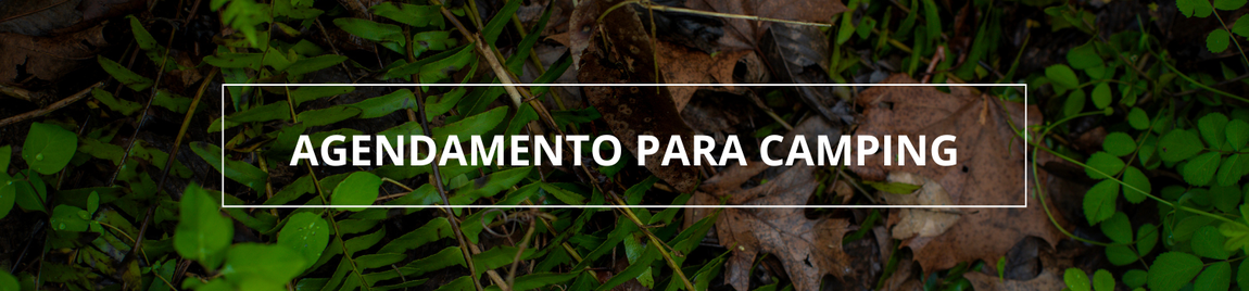 Agendamento Para Camping