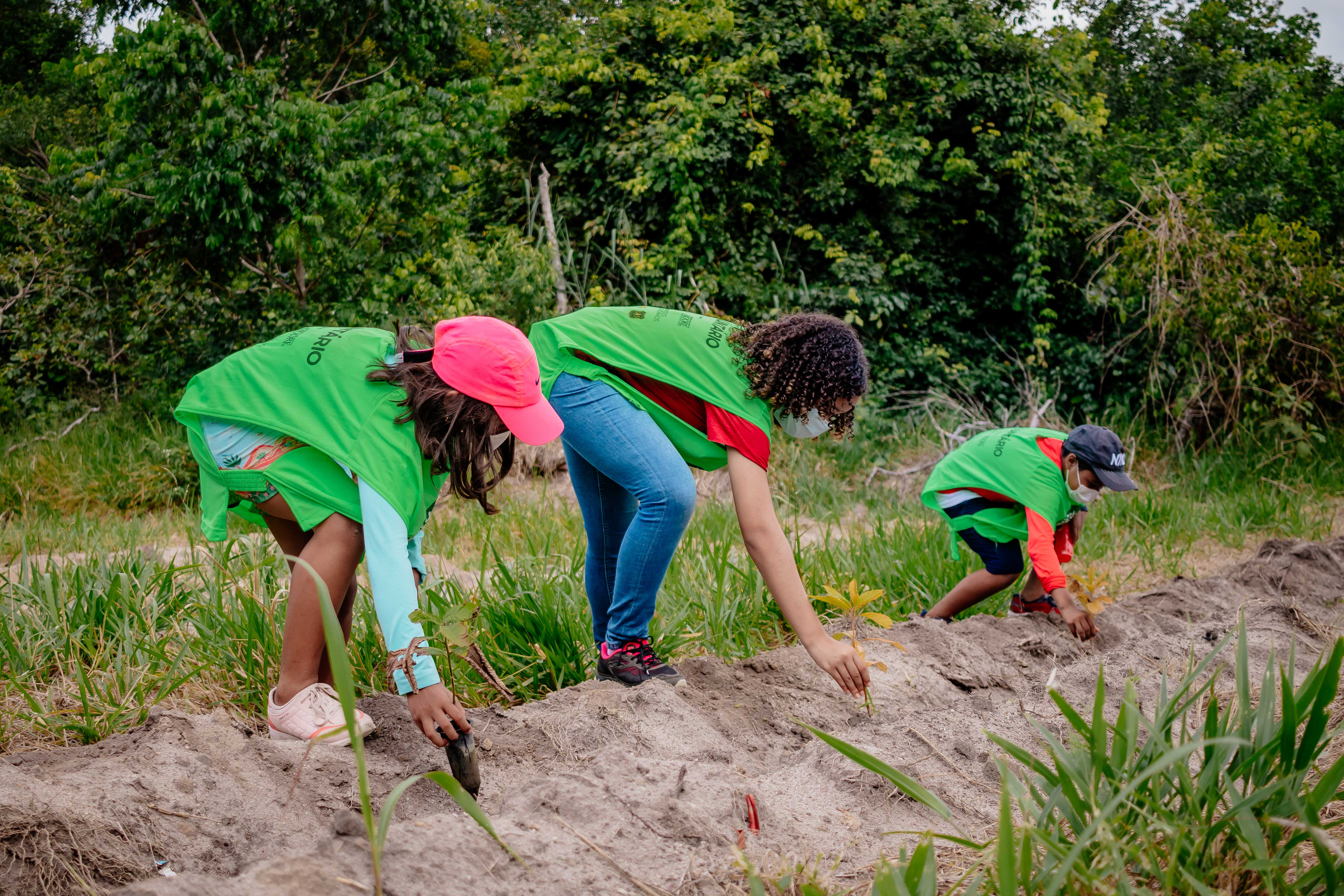 PROGRAMA DE VOLUNTARIADO DO PND