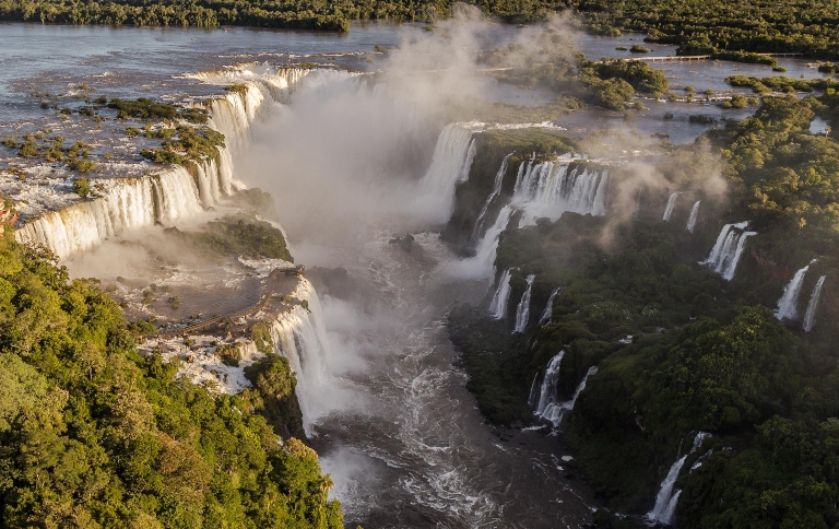 Parque Nacional do Iguaçu recebe workshop internacional sobre tráfico de psitacídeos