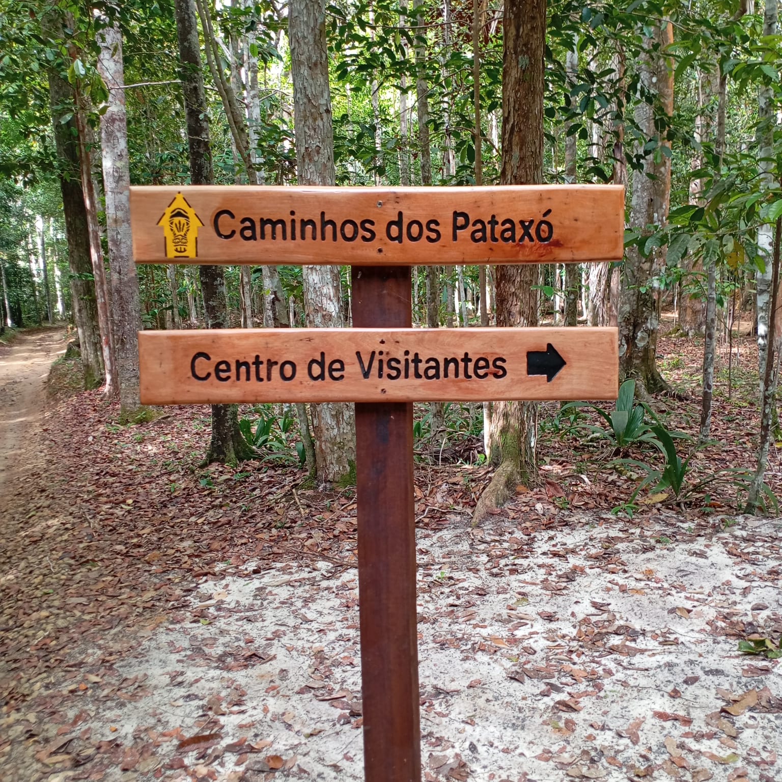 Trilha de Ciclismo.jpg