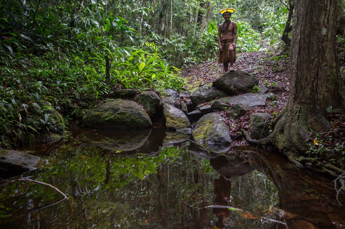 Monte Pascoal National Park (Portuguese: Parque Nacional e Histórico do Monte Pascoal) is a national park in the state of Bahia, Brazil. The park is classified as IUCN protected area category II (national park). It has the objectives of preserving natural ecosystems of great ecological relevance and scenic beauty, enabling scientific research, environmental education, outdoors recreation and eco-tourism. Photo: Flavio Forner / Conservation International