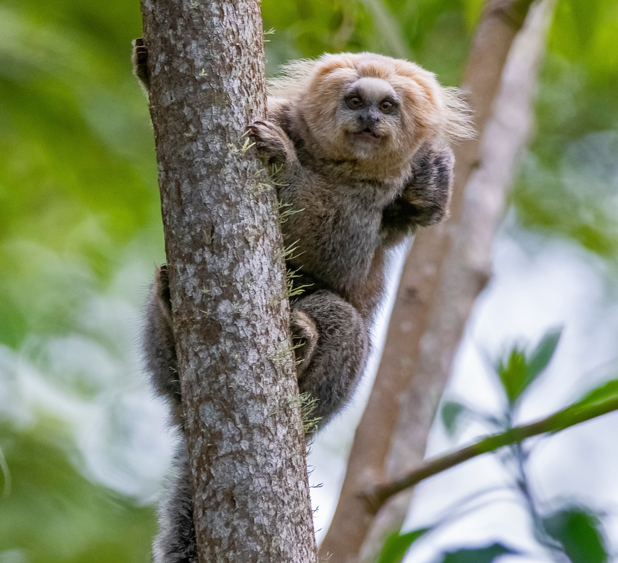 BIODIVERSIDADE